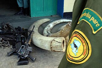 Institut Congolais pour la Conservation de la Nature